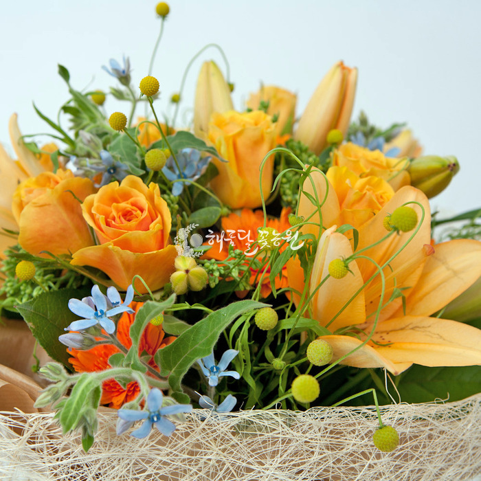 상세이미지