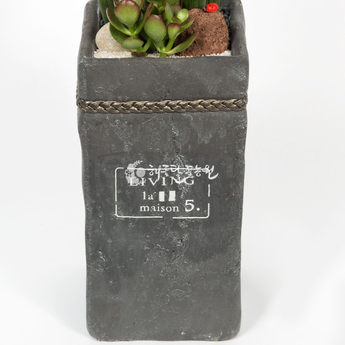 상세이미지