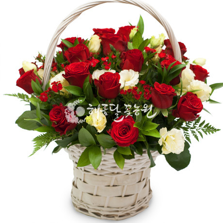 사랑의 파수꾼♥최고인기상품