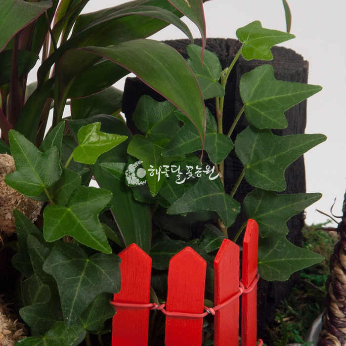 상세이미지