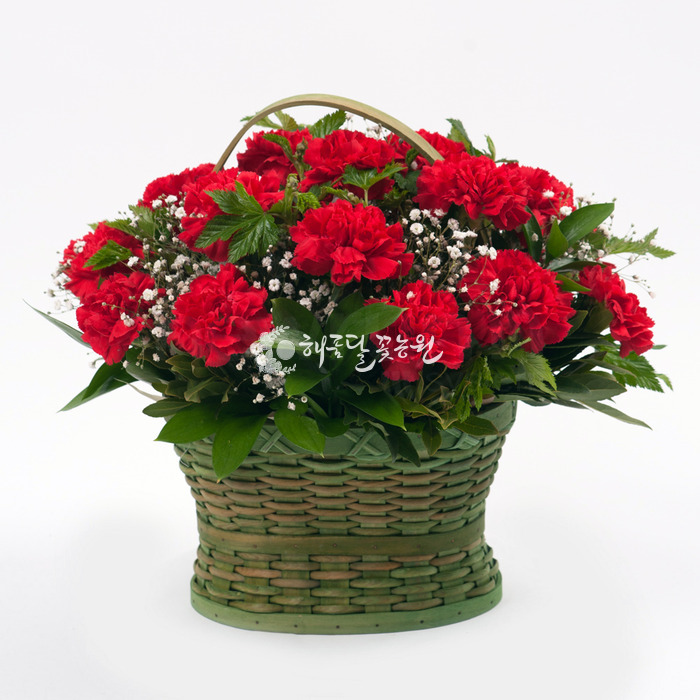 상세이미지